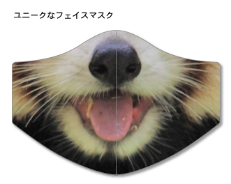 レッサーパンダのフェイスマスクイメージ