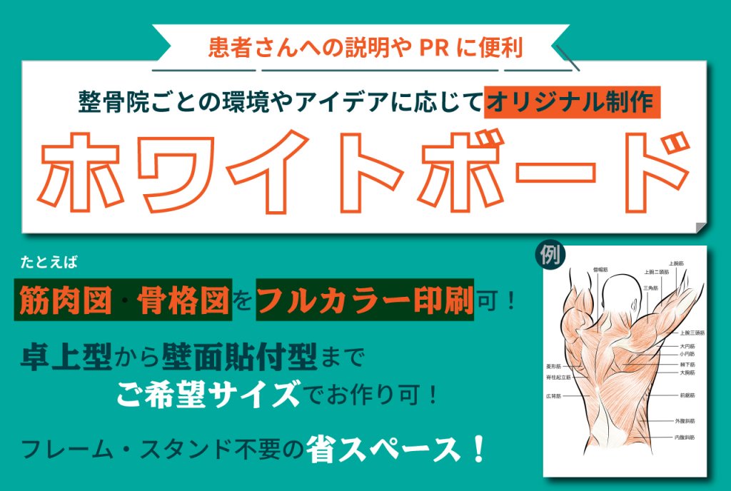 患者さんへの説明やPRに便利。整骨院ごとの環境やアイデアに応じてオリジナル制作ホワイトボード。たとえば筋肉図骨格図をフルカラー印刷可！卓上型から壁面貼付型までご希望サイズでお作り可！フレーム・スタンド不要の省スペース！